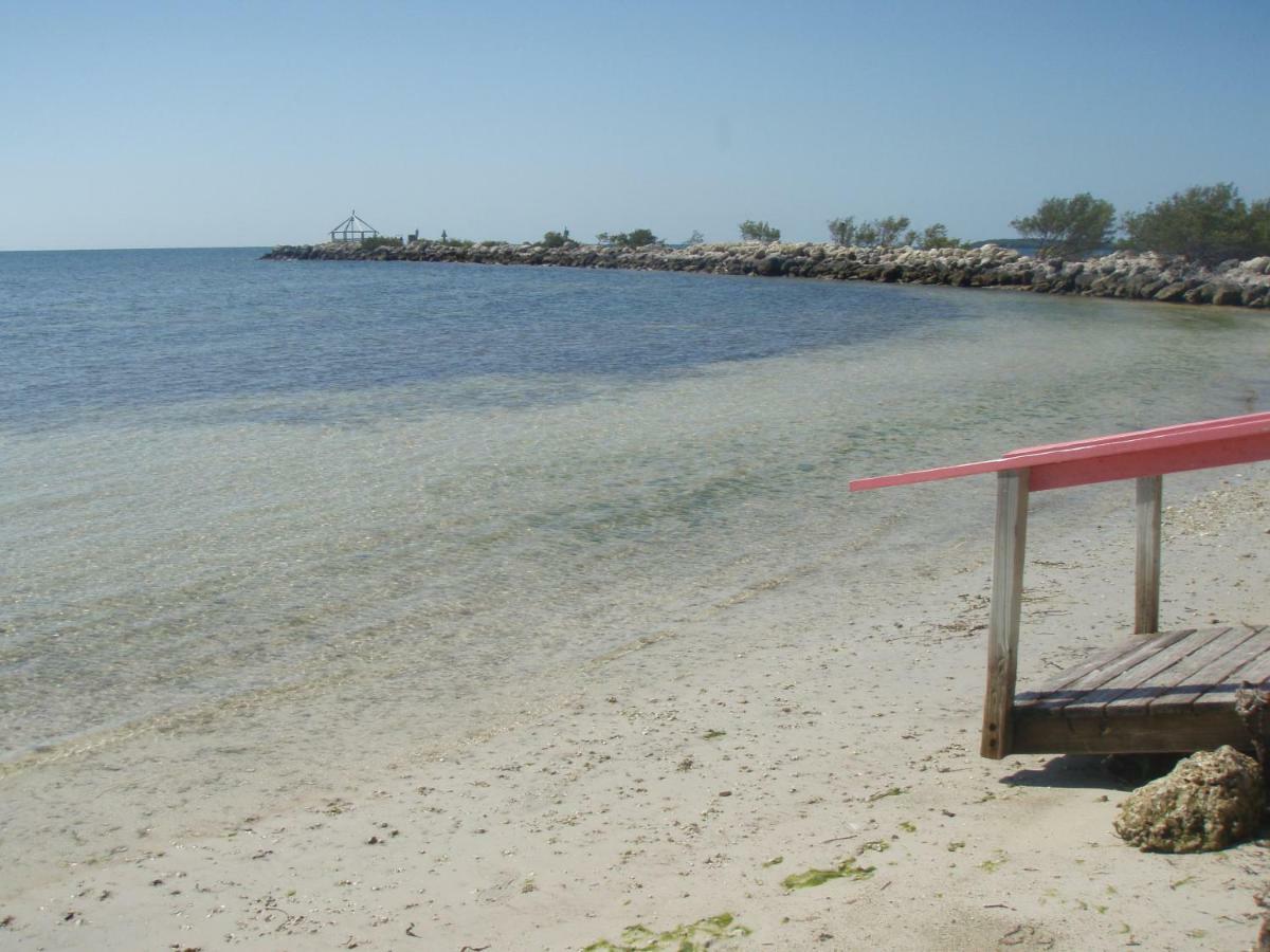 Licensed Mgr - Modern Oceanfront Condo! Beautiful Ocean Views! Beach Resort! 2 King Beds! Key Largo Bagian luar foto